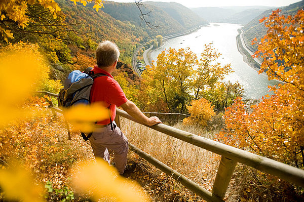 Wanderer blickt durch den gold-gelben Wald hinunter auf den Rhein